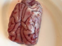 -蜀香居鲜毛肚火锅