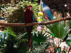 -杭州开元森泊度假乐园