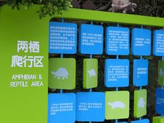 -广东惠东海龟国家级自然保护区