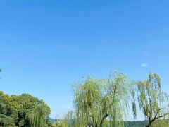 -西湖外事游船(花港观鱼码头)