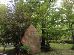 -吴淞炮台湾湿地森林公园烧烤区