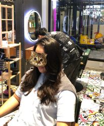 -Sugar Hair Salon