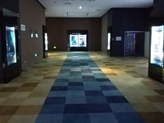 -幸福蓝海国际影城(芜湖IMAX店)