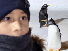 -沈阳奥体冰雪嘉年华