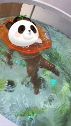 点击看大图 -鳄鱼泡泡游泳馆(新DNA购物中心店)
