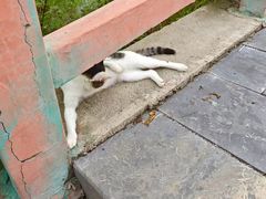 -青龙山生态文化旅游区