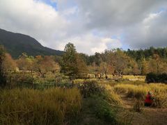 -塔川景区