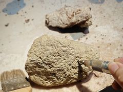 -世界恐龙谷景区