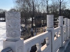 -大兴滨河森林公园