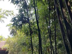 -采石矶景区