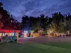 -蒙古大营(朝阳公园店)
