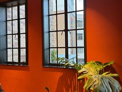 -滇野云南野生菌餐厅(陕西南路店)