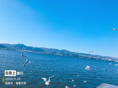 -海埂大坝