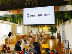 -Husky Go! 哈士奇体验馆·宠物咖啡厅狗咖