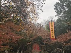 -杭州黄龙洞