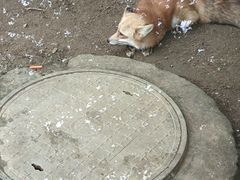 -无锡动物园·太湖欢乐园