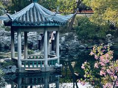 -无锡蠡湖国家湿地公园-蠡园