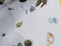 -沈阳海洋探索中心