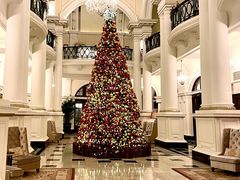 -LONG BAR 廊吧(外滩华尔道夫酒店)