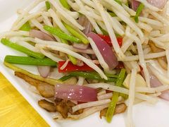 小炒菊花心-姚林轩