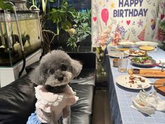 -百好乐宠物友好餐厅(朝外大街店)