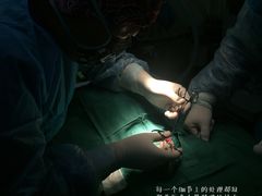 -瑞鹏宠物医院·爱宠堂·骨外专科(西荷分院)