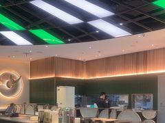 -青花椒花椒鱼(合生汇店)