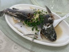 -区海鸡场饭店(石壁店)