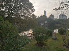 -晓港公园