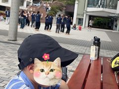 -香港大学