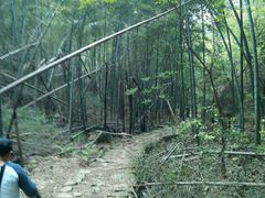 -会稽山峡洞漂流-上青古道