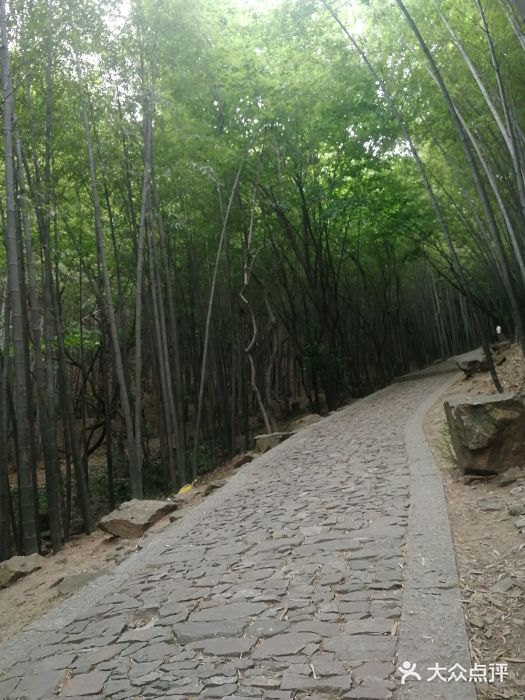 穹窿山景区图片