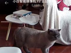 -煮鲜·潮汕下酒菜(福田石厦店)