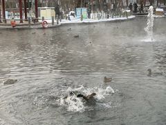 -水磨沟公园
