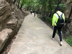 -北京上方山国家森林公园