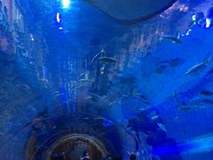 -华夏文旅海洋公园