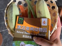 -清迈夜间动物园