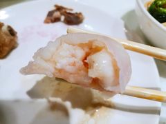 招牌虾饺皇-金鼎轩(亚运村店)