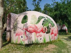 -漳州滨海火山岛自然生态风景区