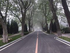 -棒棰岛宾馆景区