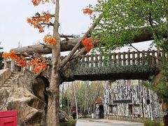 -长影世纪城