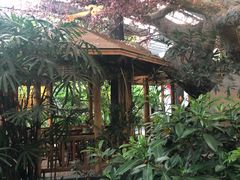 -江天生态园餐厅