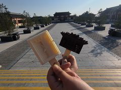 -洛阳古墓博物馆