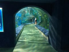 -福州罗源湾海洋世界旅游区