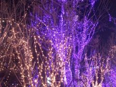 -远洋未来广场(育慧北路店)