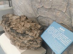 -延庆地质公园博物馆