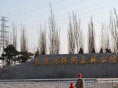 -永定河休闲森林公园