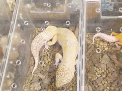 -西安创业咖啡街区