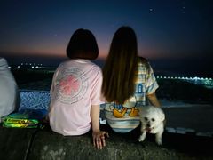 -南汇嘴观海公园