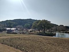-无锡梅园公园